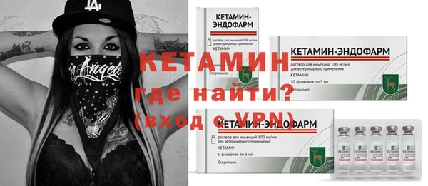 шишки Новодвинск