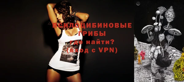 ГАЛЛЮЦИНОГЕННЫЕ ГРИБЫ Алзамай
