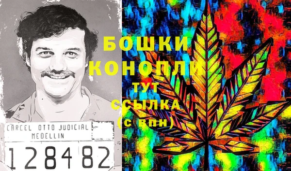 ГАЛЛЮЦИНОГЕННЫЕ ГРИБЫ Алзамай