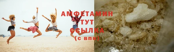 шишки Новодвинск