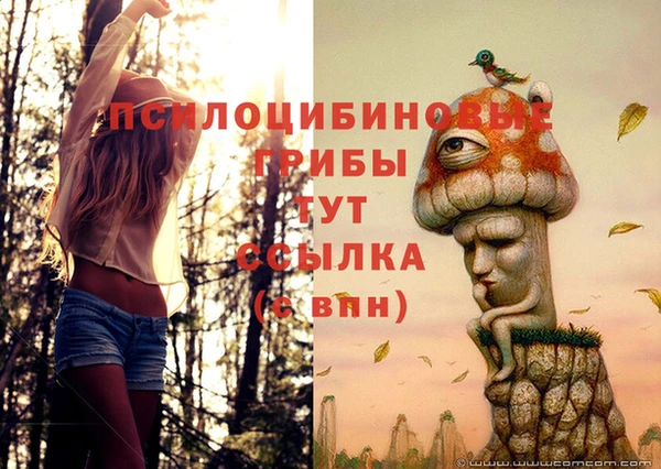шишки Алексеевка